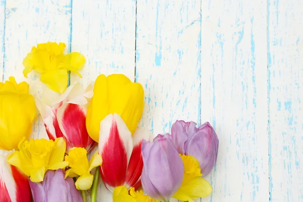 Beautiful flowers on color wooden background — Stock Photo, Image