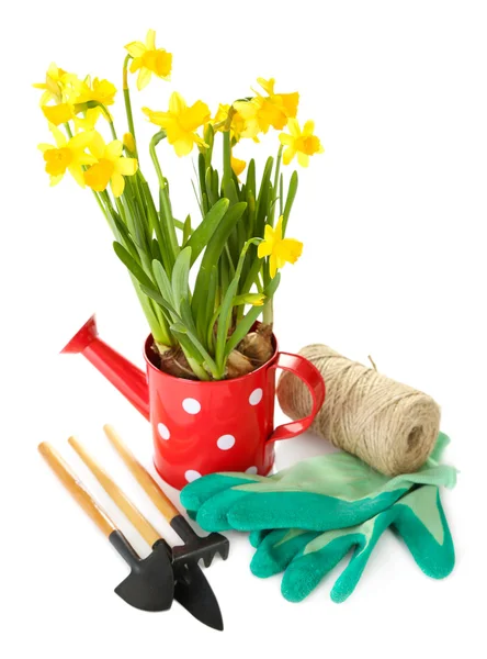 Composition with garden equipment and flowers in watering can isolated on white — Stock Photo, Image