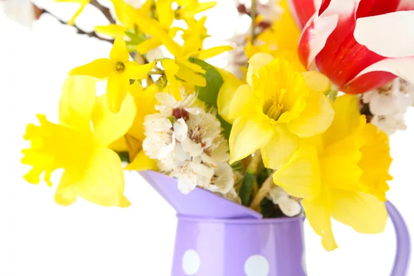 Beautiful flowers in watering can close up — Stock Photo, Image