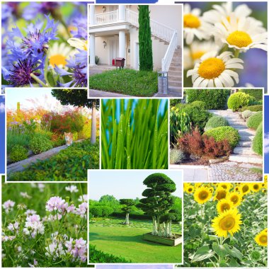 güzel doğa ve kolaj