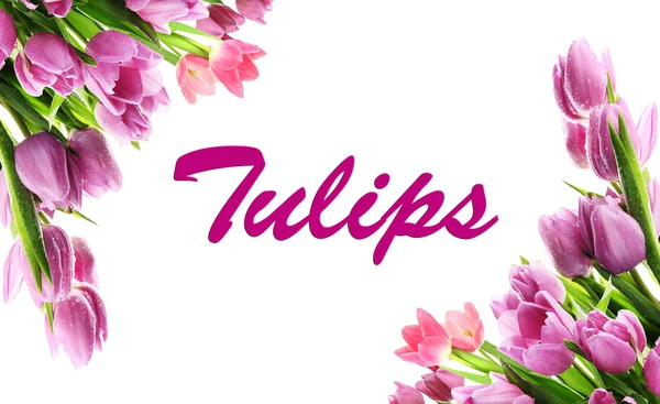 Collage of beautiful tulips isolated on white — Stock Photo, Image