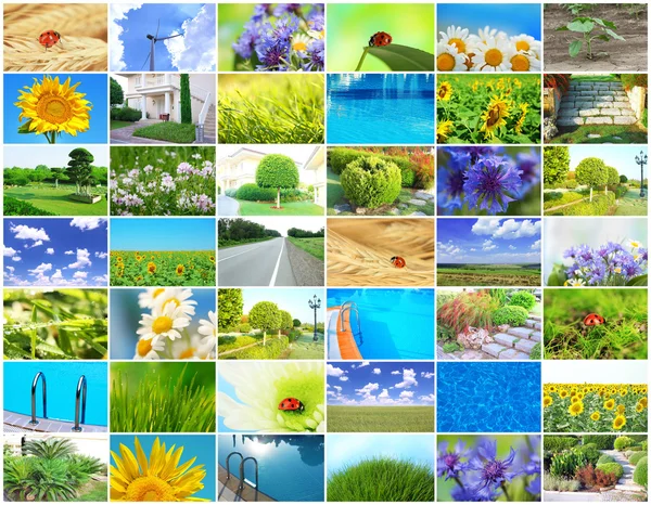 Collage av vacker natur — Stockfoto