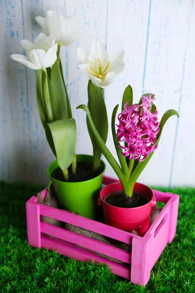 Beautiful tulips and hyacinth flower on  wooden box on color wooden background — Stock Photo, Image