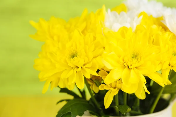 Beautiful chrysanthemum flowers on wooden background — Stock Photo, Image