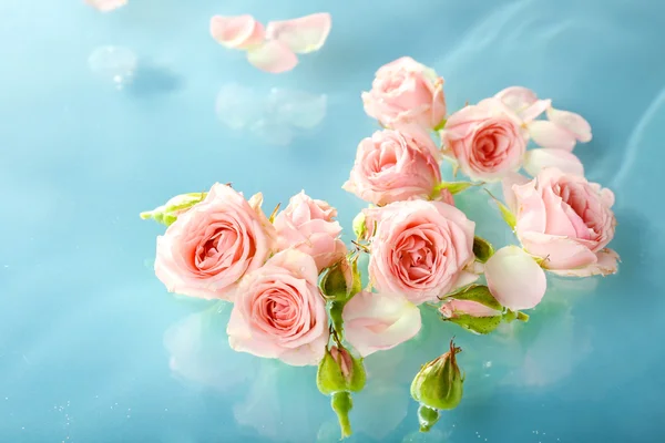 Plovoucí růžové růže zblízka — Stock fotografie