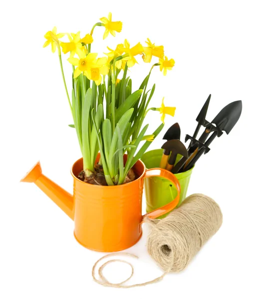 Composition with garden equipment and flowers in watering can isolated on white — Stock Photo, Image