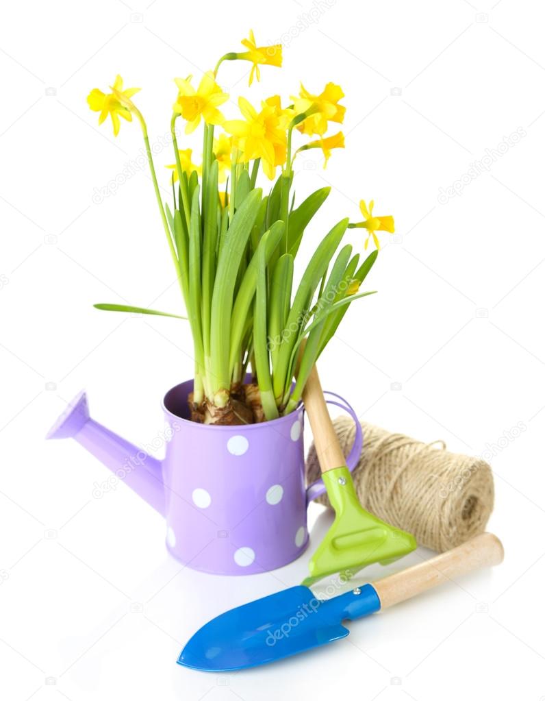 Composition with garden equipment and flowers in watering can isolated on white