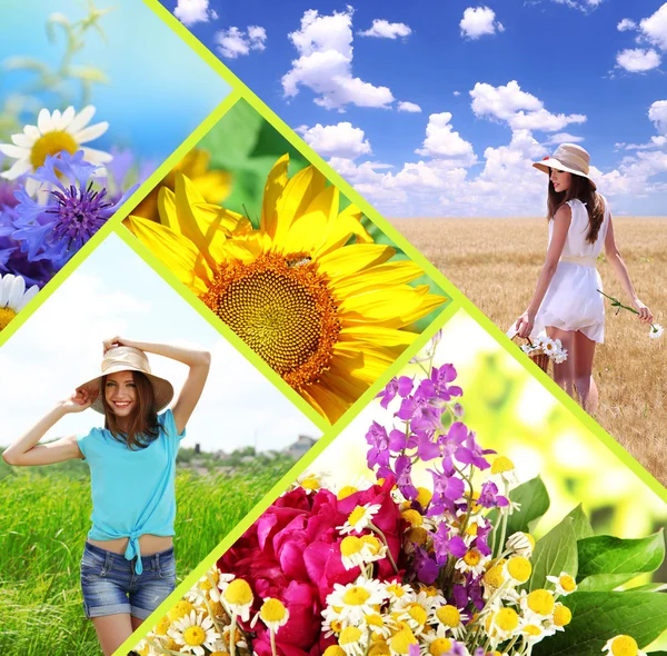 Collage of summer time Stock Image