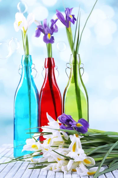 Hermosos iris y narcisos en botellas, sobre fondo claro —  Fotos de Stock