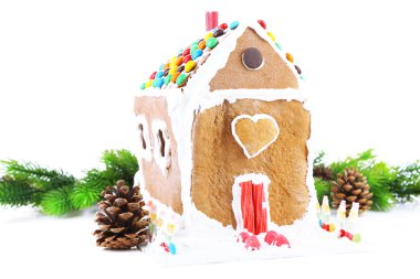 beyaz izole kurabiye evi