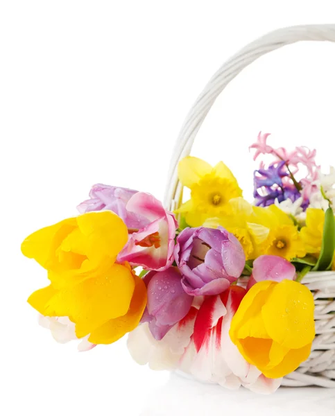 Hermosas flores en canasta de mimbre, aisladas en blanco — Foto de Stock