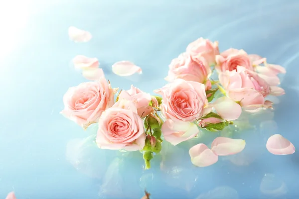 Flytande rosa rosor på nära håll — Stockfoto