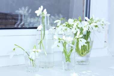 kardelen vazolar üzerinde pencere içinde güzel buketler