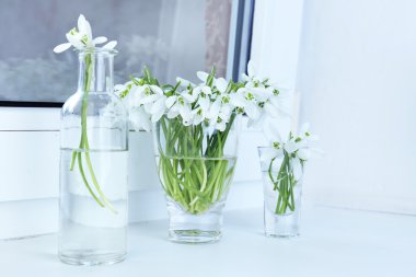 kardelen vazolar üzerinde pencere içinde güzel buketler