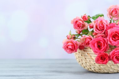 açık renkli üzerinde güzel küçük pembe güller