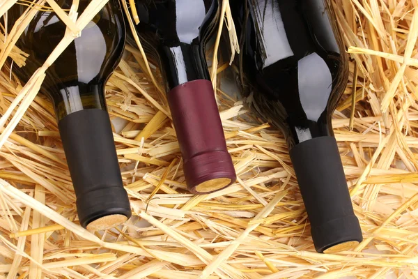 Botellas de gran vino sobre heno — Foto de Stock