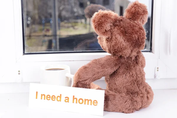 Toy-bear looking out window close-up — Stock Photo, Image