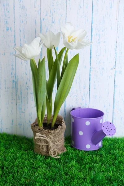 Hermosos tulipanes en maceta sobre hierba verde, sobre fondo de madera —  Fotos de Stock