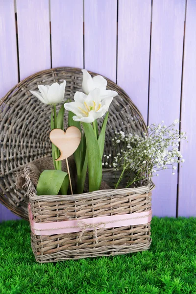 Schöne Hyazinthenblume im Weidenkorb, auf grünem Gras auf farbigem Holzhintergrund — Stockfoto