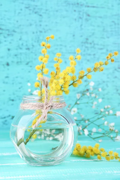 Twijgen van mimosa bloemen in vaas op blauwe houten tafel — Stockfoto