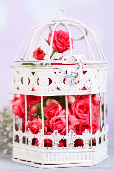 Beautiful small pink roses in decorative cage, on light background — Stock Photo, Image