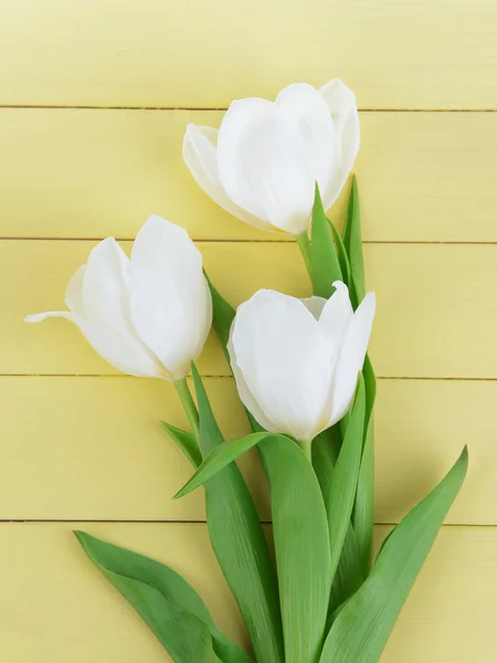 Belo buquê de tulipas brancas no fundo amarelo claro — Fotografia de Stock