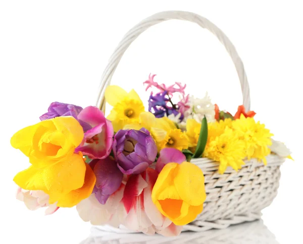 Lindas flores em cesta de vime, isoladas em branco — Fotografia de Stock