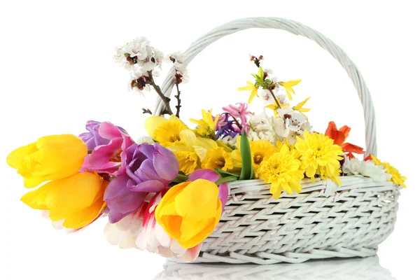 Hermosas flores en canasta de mimbre, aisladas en blanco —  Fotos de Stock