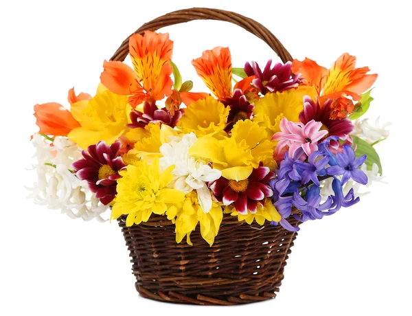 Beautiful flowers in wicker basket, isolated on white — Stock Photo, Image