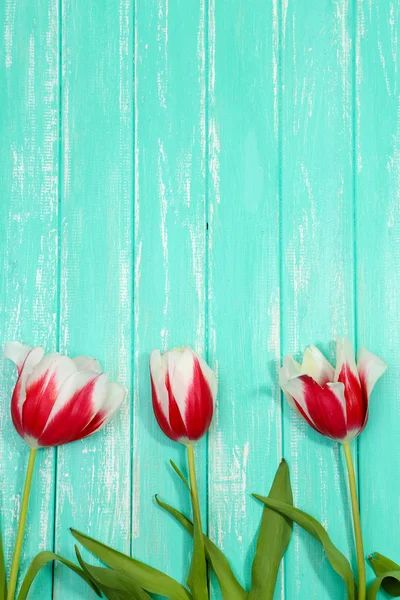 Belles fleurs sur fond en bois couleur — Photo