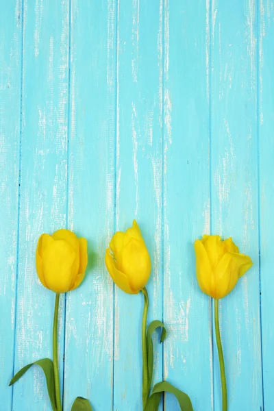 Belles tulipes sur fond en bois couleur — Photo