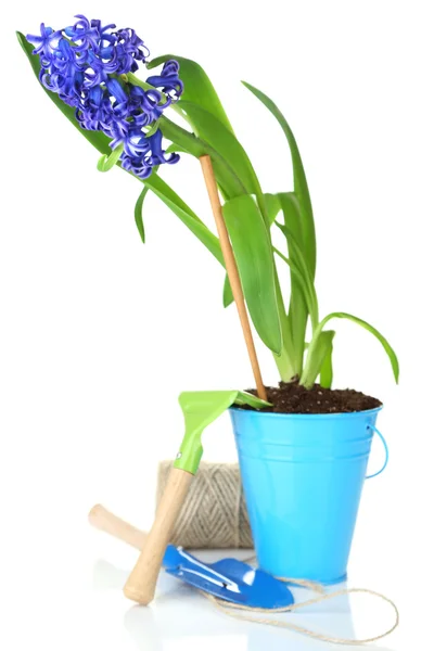 Složení s zahradní vybavení a květiny v plechový kbelík izolovaných na bílém — Stock fotografie