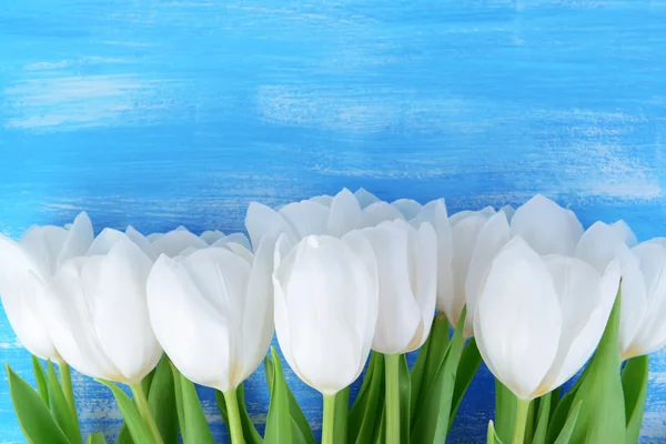 Hermoso ramo de tulipanes blancos sobre fondo azul — Foto de Stock