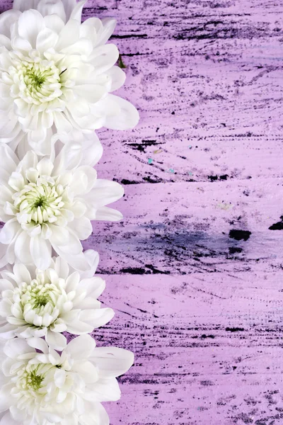 Mooie chrysant bloemen op houten tafel close-up — Stockfoto