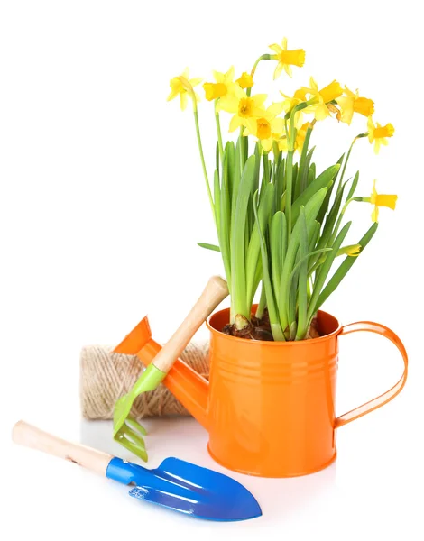 Komposition mit Gartengeräten und Blumen in der Gießkanne isoliert auf weiß — Stockfoto