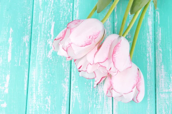 Beautiful tulips on color wooden background — Stock Photo, Image
