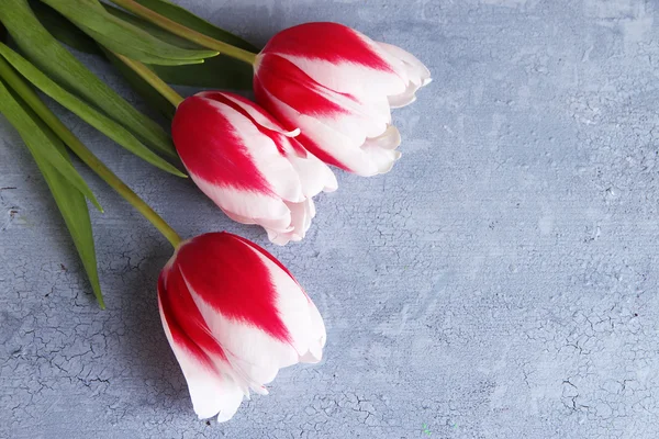 Hermosos tulipanes sobre fondo de madera color — Foto de Stock