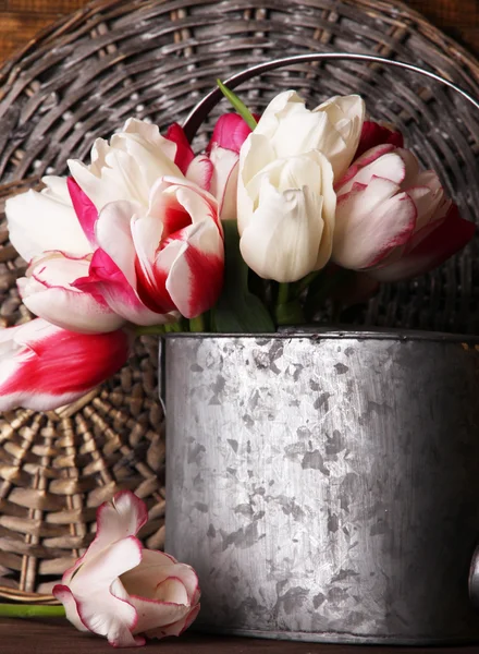 Beautiful tulips in watering can on wooden background — Stock Photo, Image