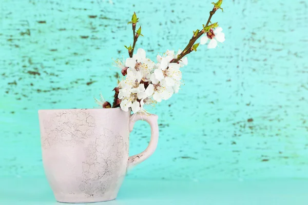 Beautiful apricot blossom in cup on old wooden background — Stock Photo, Image