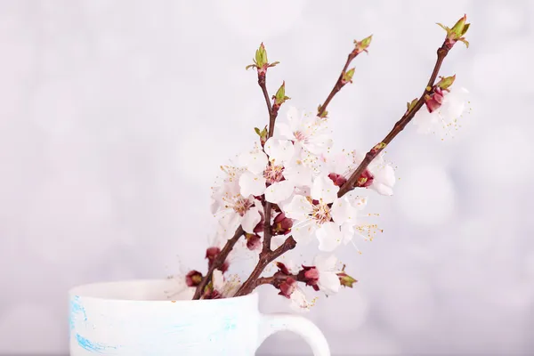 Beautiful apricot blossom in cup on light background — Stock Photo, Image