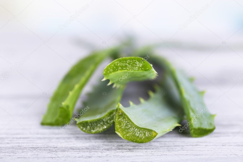 Fresh green aloe leaves on wooden table