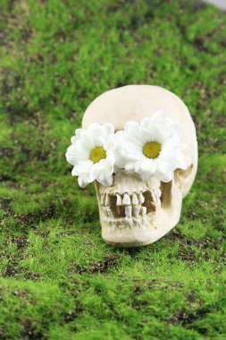 kafatası ile yeşil çim zemin çiçek