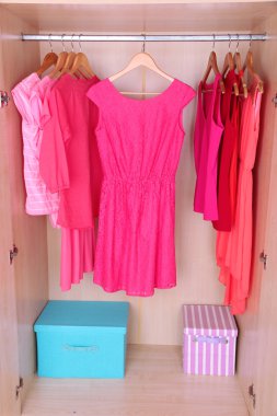 Female clothes on hangers in wardrobe