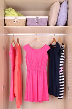 Female clothes on hangers in wardrobe