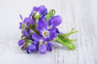 Violets flowers on wooden table clipart
