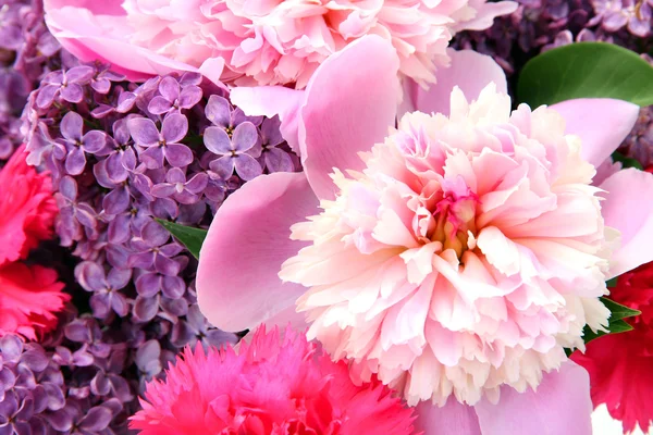 Bakgrund av vackra våren blommor — Stockfoto