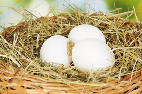 Белые яйца в плетеной корзине на сене на зеленом фоне крупным планом — стоковое фото
