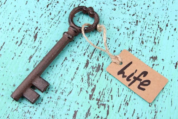 Schlüssel zum Leben, konzeptionelles Foto. auf farbigem Holzhintergrund — Stockfoto