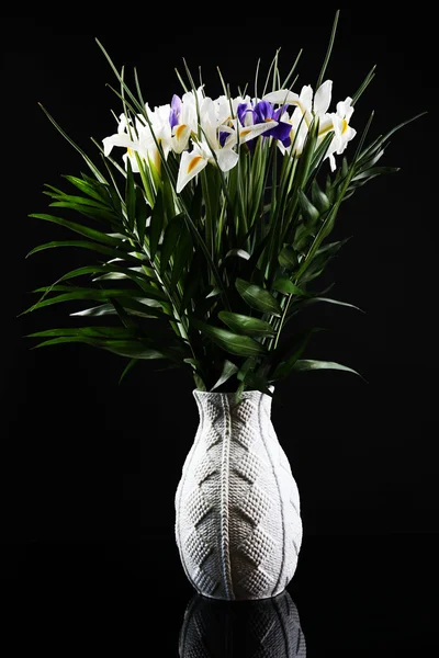 Beautiful irises on black background — Stock Photo, Image