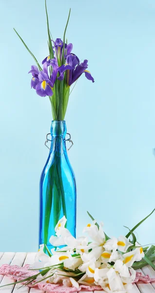 Schöne Schwertlilien und Narzissen in der Flasche, auf blauem Hintergrund — Stockfoto